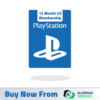 PlayStation-12Months-US